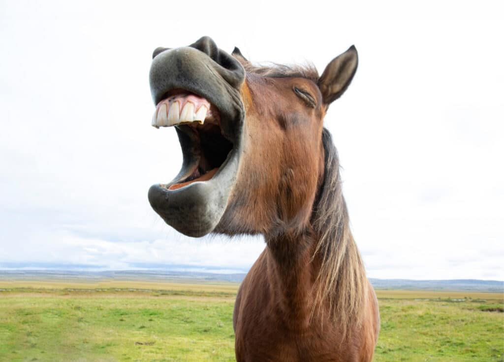 the motivation to stick to your habits whitstable personal training